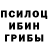 Псилоцибиновые грибы мухоморы Zavqiddin xzx